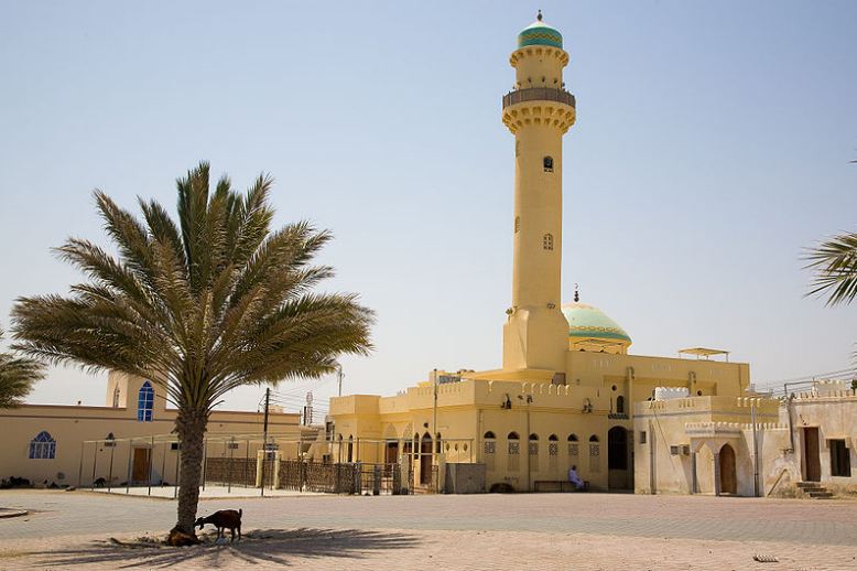 dates palm tree and a tall building at Qurayyat, Oman