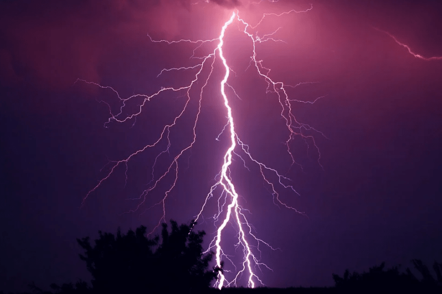 lightning bolts, plants, clouds