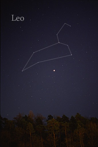The Leo Constellation