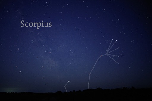 The Scorpius Constellation