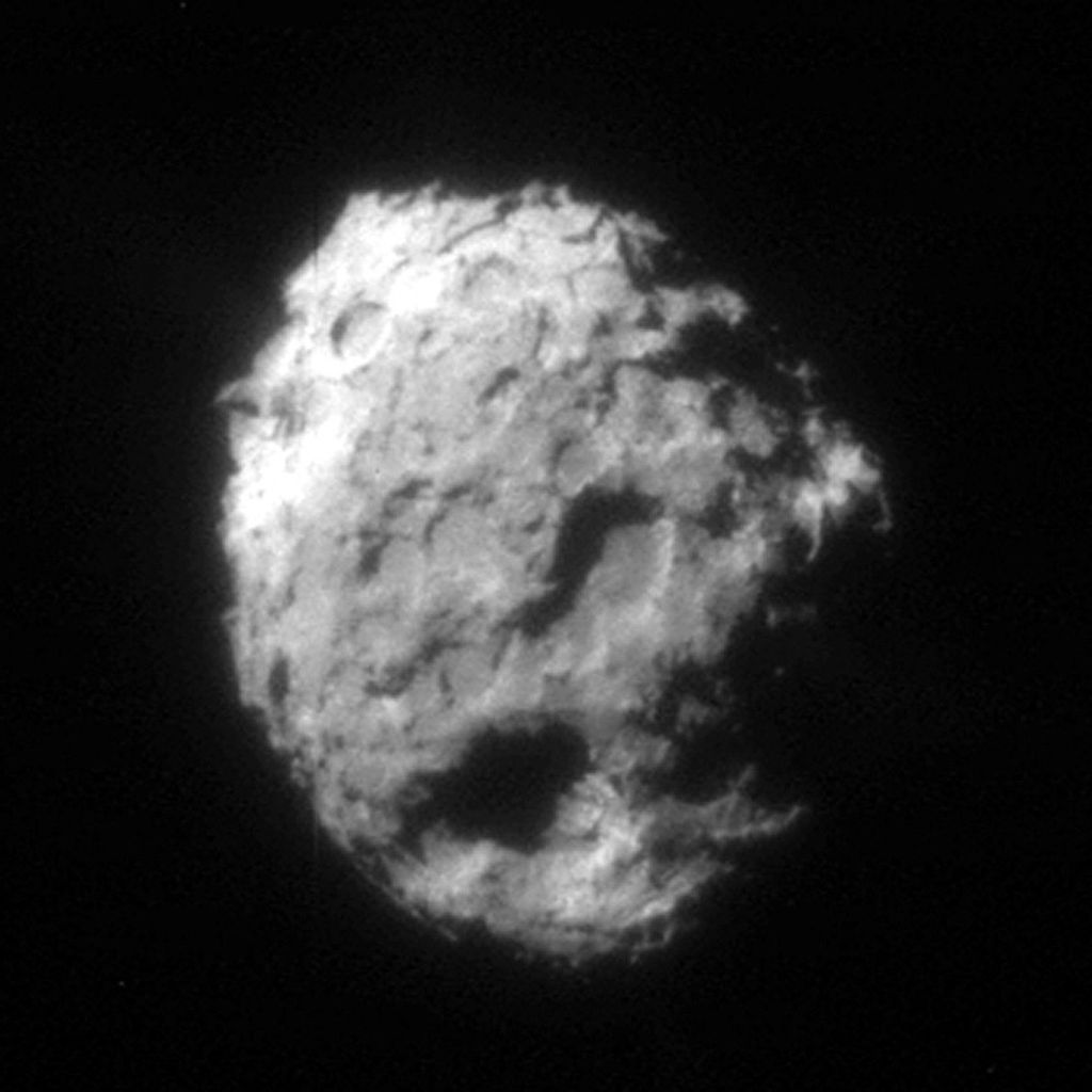 The Nucleus of Wild 2 Comet.