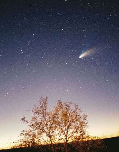 Comets in Our Solar System: Comet Hale-Bopp - Astronimus