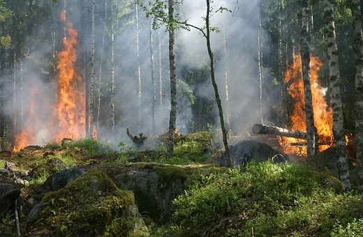 Environmental Effects of Tswaing Crater