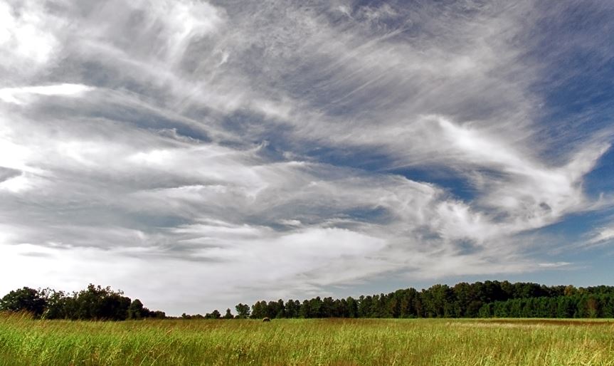 Cirrus Cloud