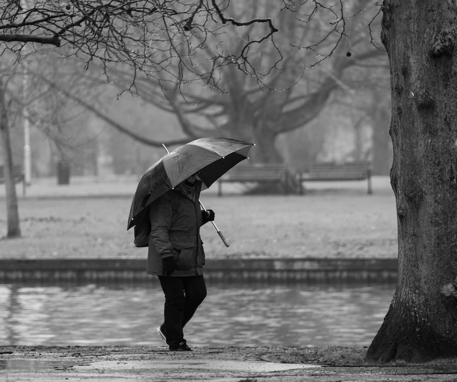 Rainy Days