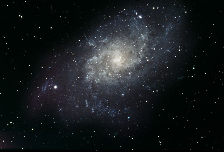 Triangulum galaxy