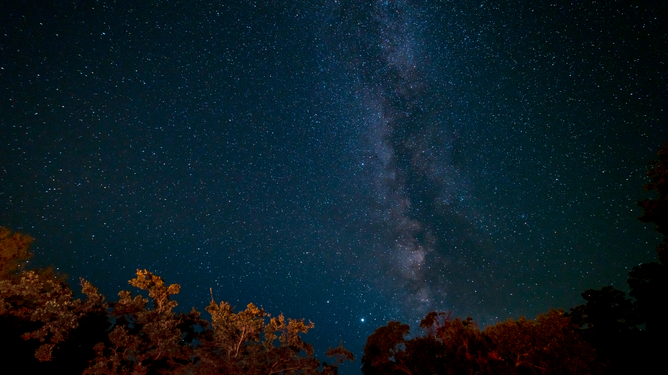 View of the center of the Milky Way on top of trees on dark night