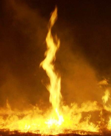 a fire whirl