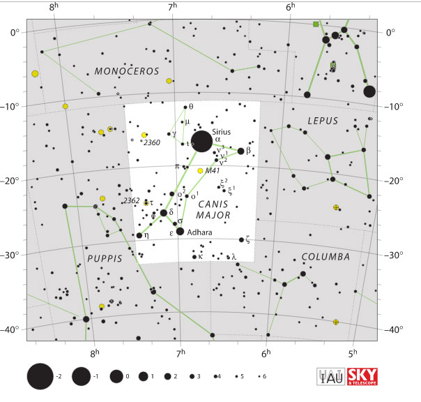 The Canis Major Constellation And The Dog Star