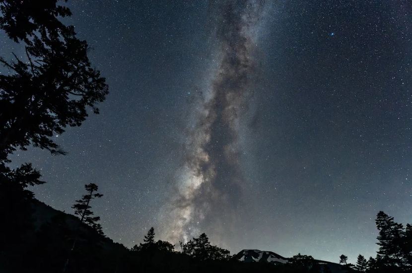 night sky, stars, milky way, trees