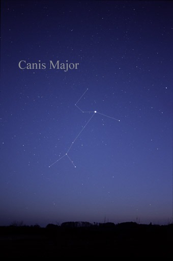 The Canis Major Constellation