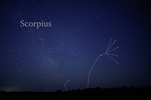 The Scorpius Constellation