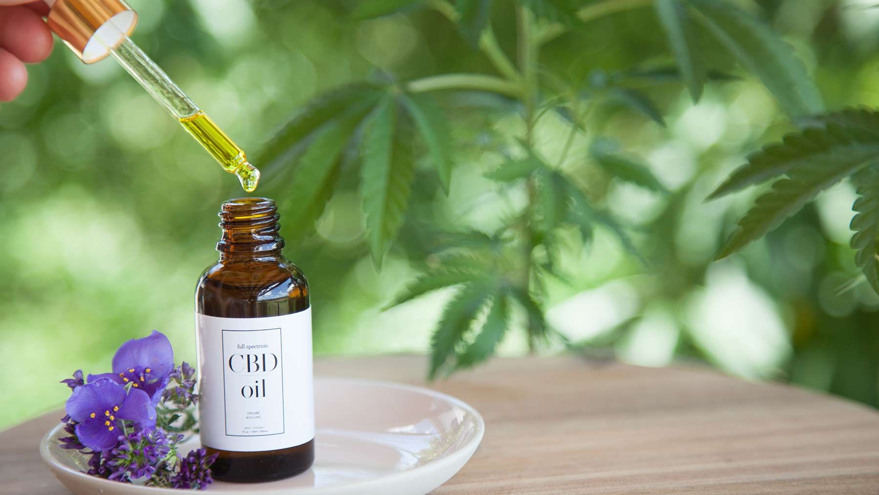 What to Expect this CBD Cyber Monday