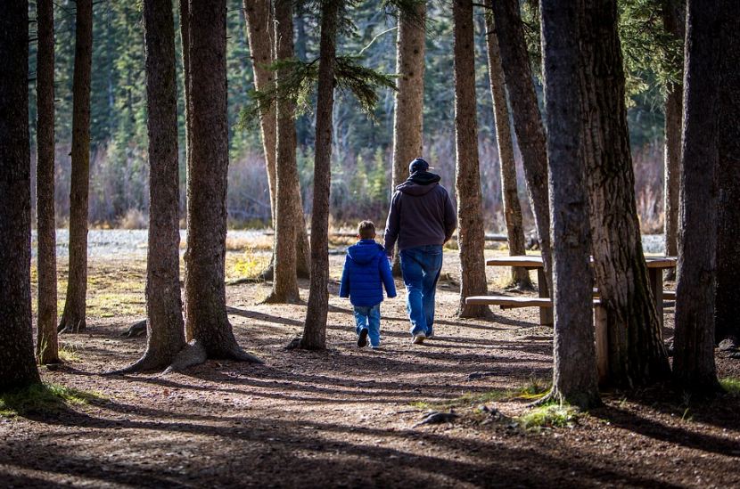 father and son going on a walk in the forest, trees