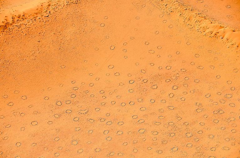 Aerial view of Fairy circles