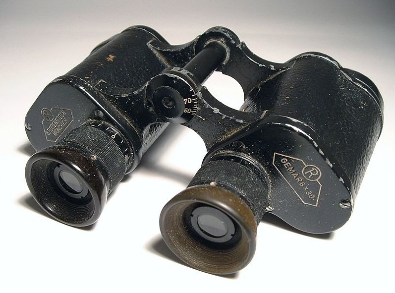 Porro prism binoculars