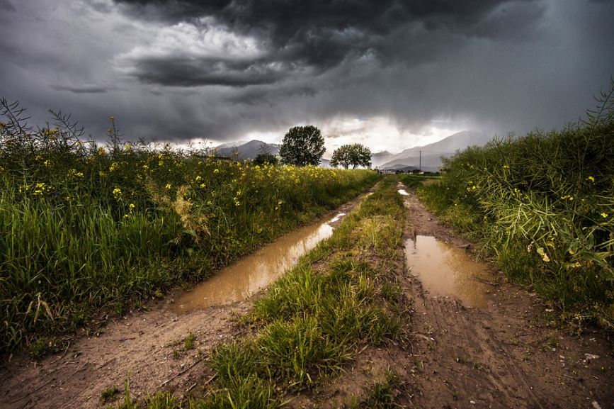 dark skies covered with gray clouds, grass with yellow flowers, mud puddle