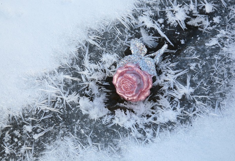 an artificial pink rose, and snow crystals