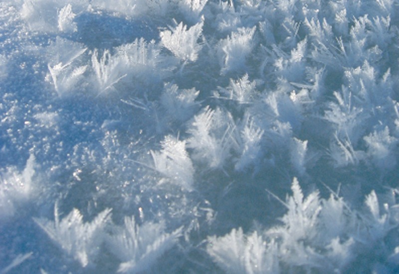 flower-like ice crystals