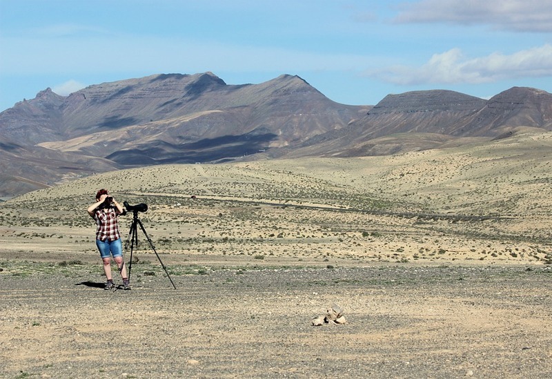 girl wearing a checkered blouse using binoculars, standing telescope, tall mountains, plain without little amount of grass