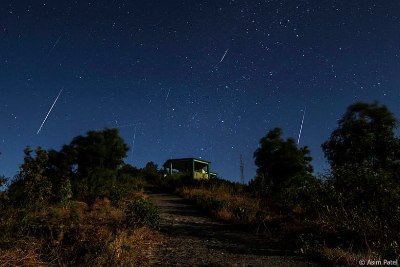 Geminids meteors, numerous meteors, blue night sky, meteors heading to the ground, trees, and a house