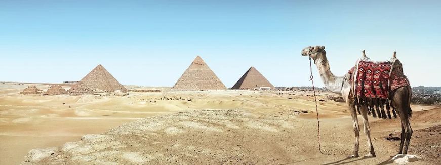 a-camel-and-pyramids-on-a-desert