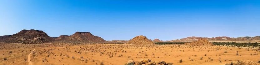 desert, rocks, plants, and desert formations