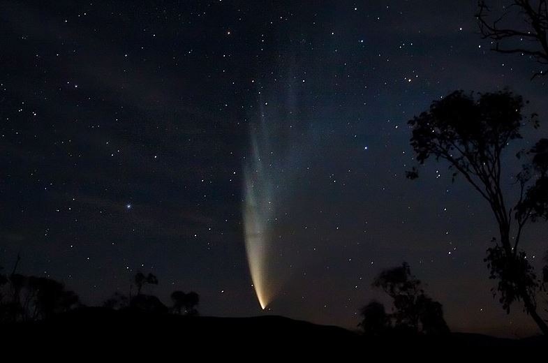 Comet McNaught.
