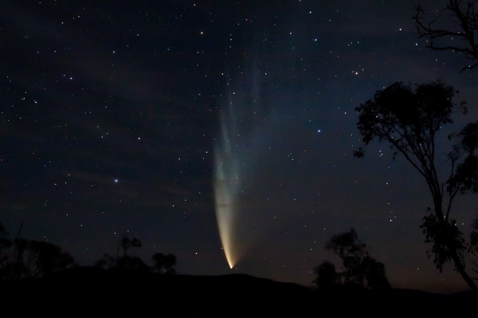 Comet McNaught.