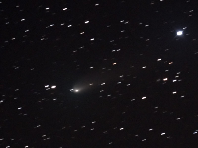 Wild 2 Comet observed from Earth